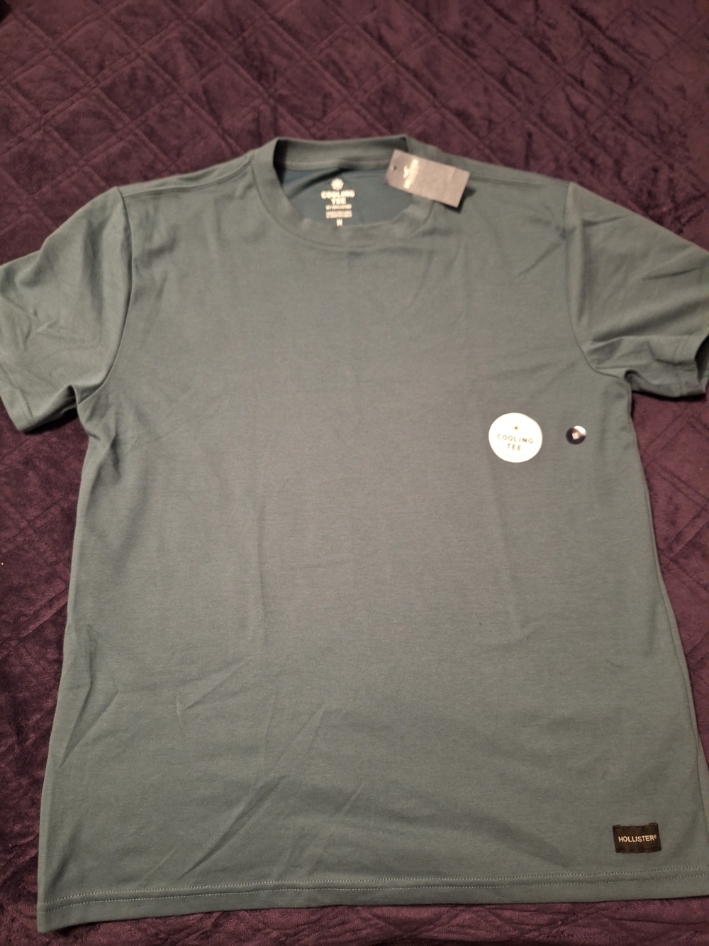 Hollister Men's Short-Sleeve Crew Tee in Dark Teal Green.size Medium
